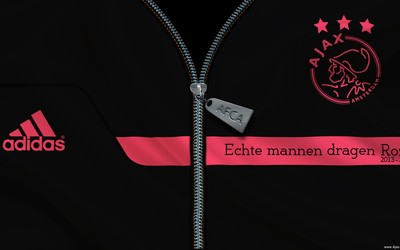 DP体育精华-阿切尔比赛后感谢球迷