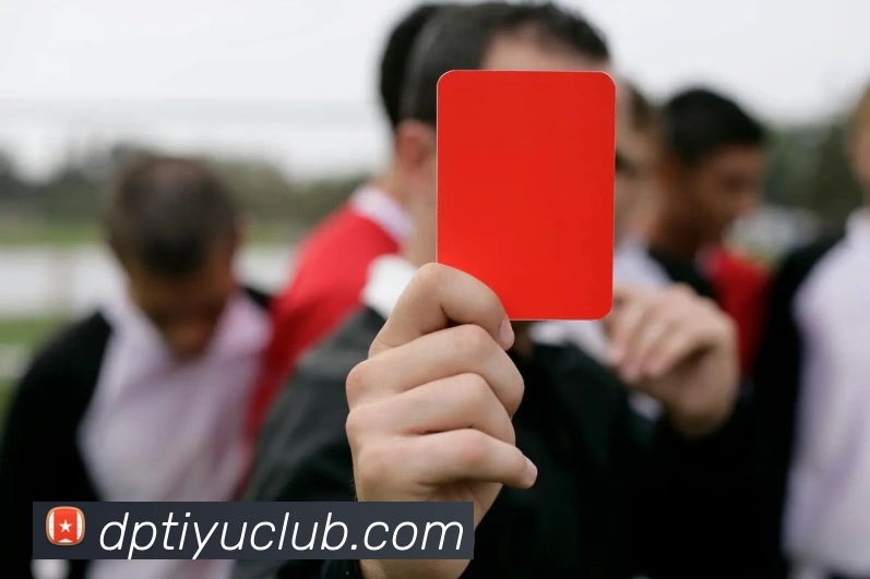 DP体育俱乐部平台生态图